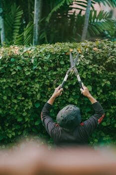 Gardening and property maintenance services