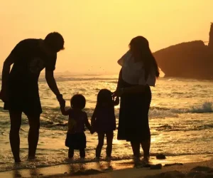 Professional home services and insurance solutions