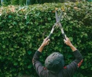 Gardening and property maintenance services